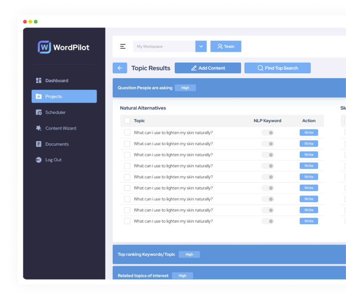 WordPilot Dashboard Preview